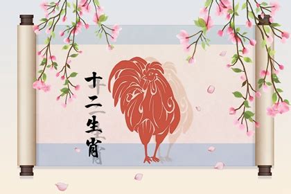 屬雞婚配|生肖雞：屬雞男女最佳婚配，准到難於至信！